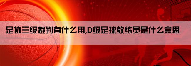 足协三级裁判有什么用,D级足球教练员是什么意思