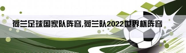 荷兰足球国家队阵容,荷兰队2022世界杯阵容