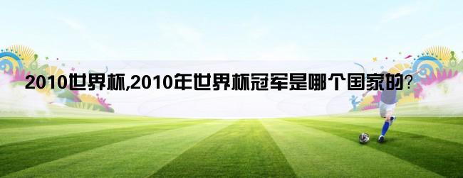 2010世界杯,2010年世界杯冠军是哪个国家的？