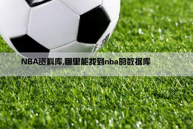 NBA资料库,哪里能找到nba的数据库