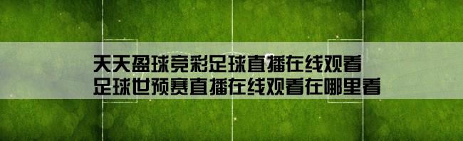 天天盈球竞彩足球直播在线观看,足球世预赛直播在线观看在哪里看