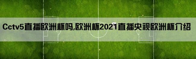 Cctv5直播欧洲杯吗,欧洲杯2021直播央视欧洲杯介绍