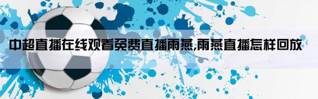 中超直播在线观看免费直播雨燕,雨燕直播怎样回放