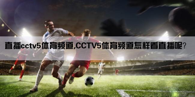 直播cctv5体育频道,CCTV5体育频道怎样看直播呢？