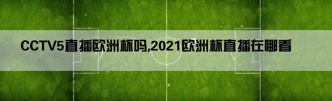 CCTV5直播欧洲杯吗,2021欧洲杯直播在哪看