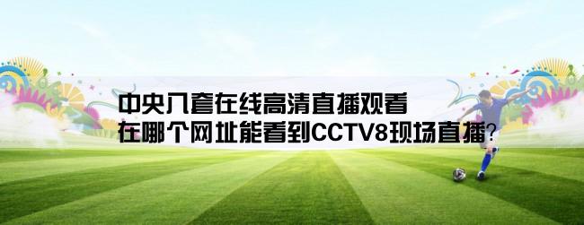 中央八套在线高清直播观看,在哪个网址能看到CCTV8现场直播？