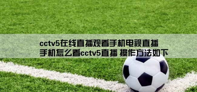 cctv5在线直播观看手机电视直播,手机怎么看cctv5直播 操作方法如下