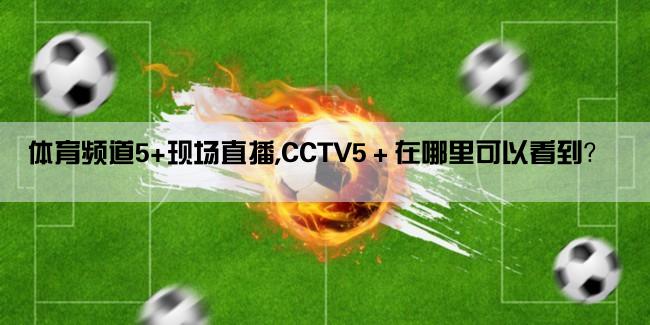 体育频道5+现场直播,CCTV5＋在哪里可以看到？