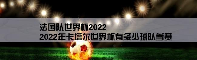 法国队世界杯2022,2022年卡塔尔世界杯有多少球队参赛