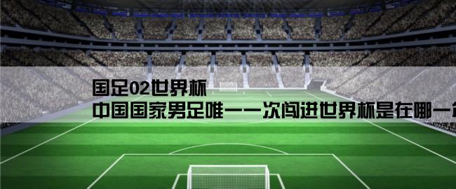 国足02世界杯,中国国家男足唯一一次闯进世界杯是在哪一年的