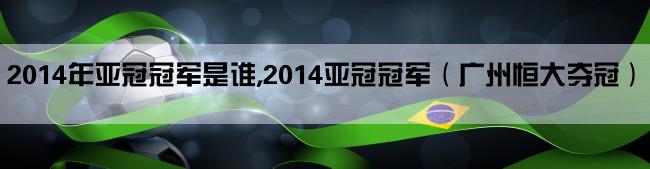 2014年亚冠冠军是谁,2014亚冠冠军（广州恒大夺冠）