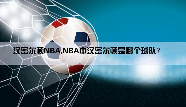 汉密尔顿NBA,NBA中汉密尔顿是哪个球队？