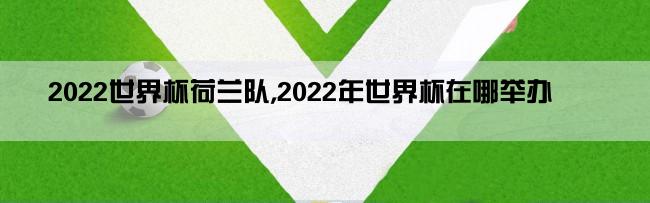 2022世界杯荷兰队,2022年世界杯在哪举办