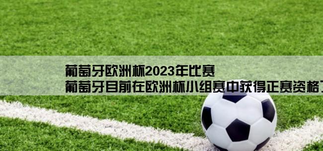 葡萄牙欧洲杯2023年比赛,葡萄牙目前在欧洲杯小组赛中获得正赛资格了吗？