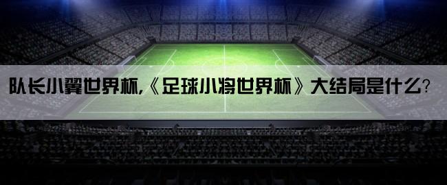 队长小翼世界杯,《足球小将世界杯》大结局是什么？