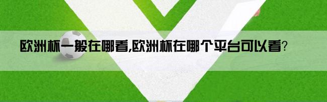 欧洲杯一般在哪看,欧洲杯在哪个平台可以看？