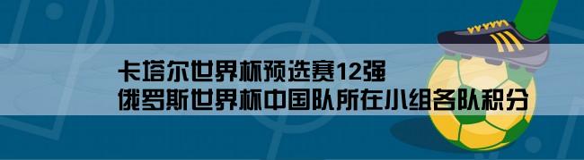 卡塔尔世界杯预选赛12强,俄罗斯世界杯中国队所在小组各队积分