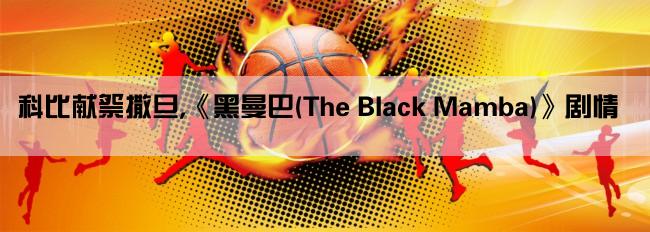 科比献祭撒旦,《黑曼巴(The Black Mamba)》剧情