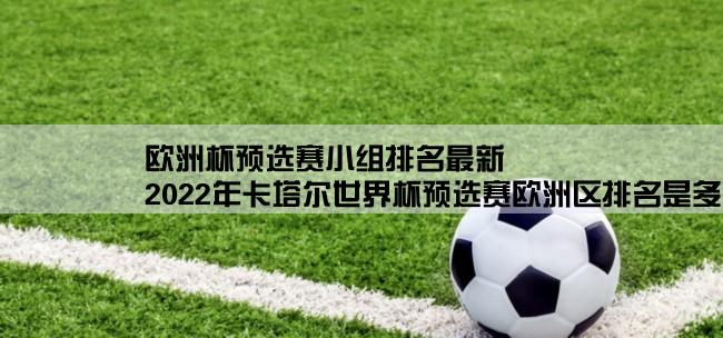 欧洲杯预选赛小组排名最新,2022年卡塔尔世界杯预选赛欧洲区排名是多少