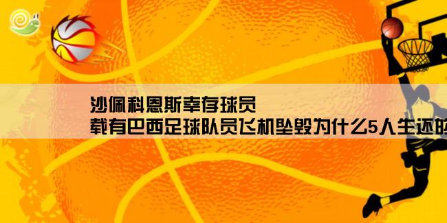 沙佩科恩斯幸存球员,载有巴西足球队员飞机坠毁为什么5人生还的最新微博结果