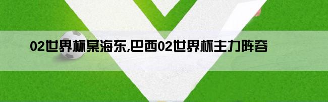 02世界杯某海东,巴西02世界杯主力阵容