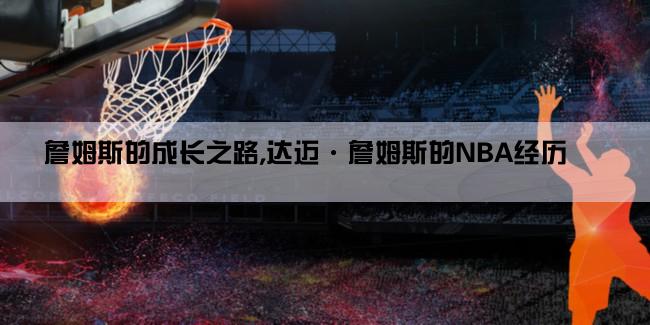 詹姆斯的成长之路,达迈·詹姆斯的NBA经历