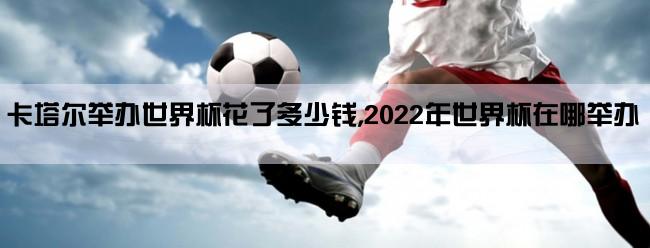 卡塔尔举办世界杯花了多少钱,2022年世界杯在哪举办