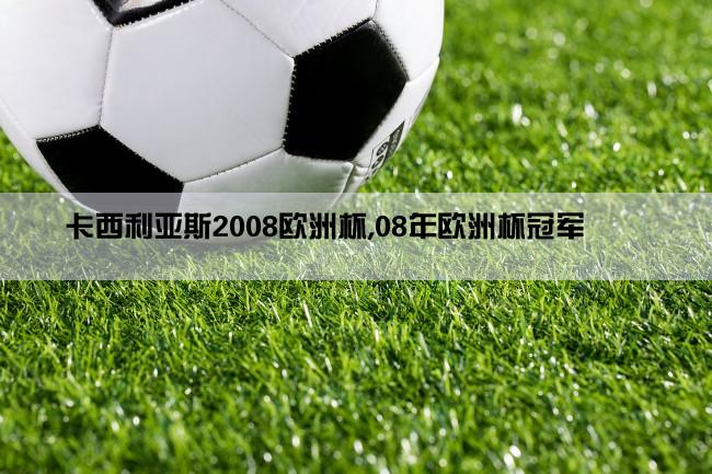 卡西利亚斯2008欧洲杯,08年欧洲杯冠军