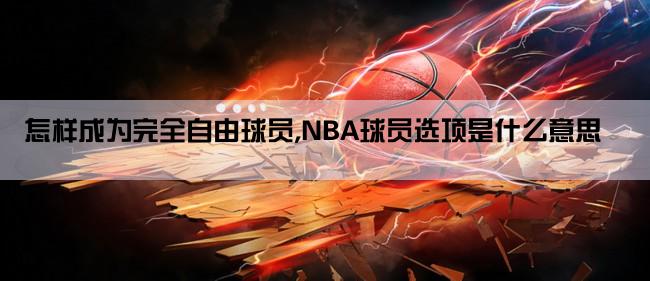 怎样成为完全自由球员,NBA球员选项是什么意思