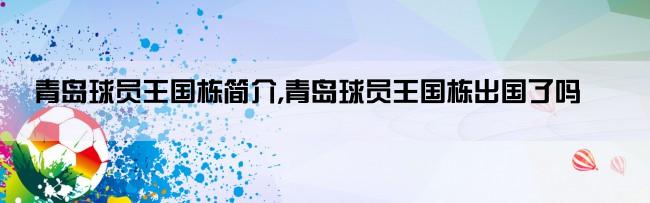 青岛球员王国栋简介,青岛球员王国栋出国了吗