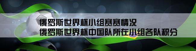 俄罗斯世界杯小组赛赛情况,俄罗斯世界杯中国队所在小组各队积分