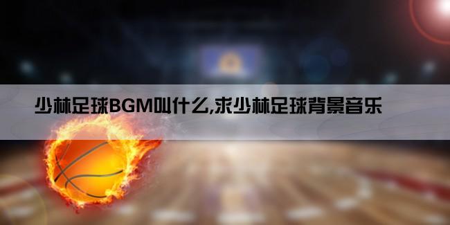 少林足球BGM叫什么,求少林足球背景音乐