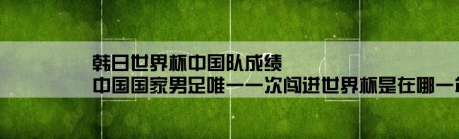 韩日世界杯中国队成绩,中国国家男足唯一一次闯进世界杯是在哪一年的