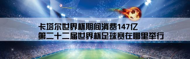 卡塔尔世界杯期间消费147亿,第二十二届世界杯足球赛在哪里举行