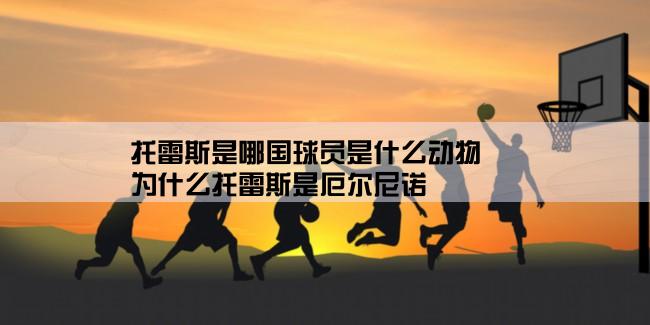 托雷斯是哪国球员是什么动物,为什么托雷斯是厄尔尼诺