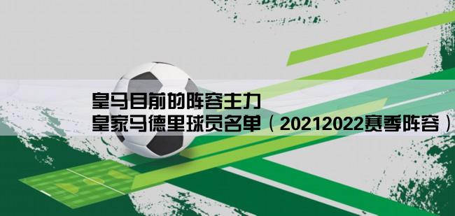 皇马目前的阵容主力,皇家马德里球员名单（20212022赛季